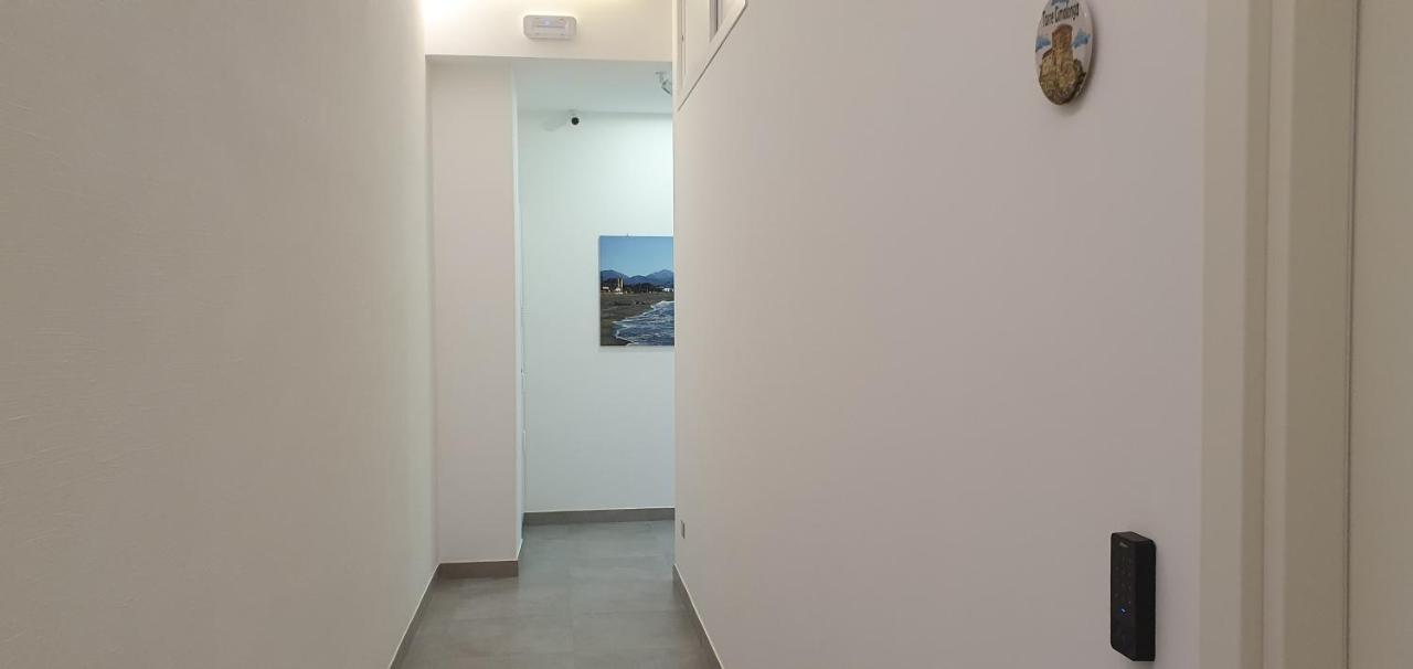 Incentroscalea * Scalea